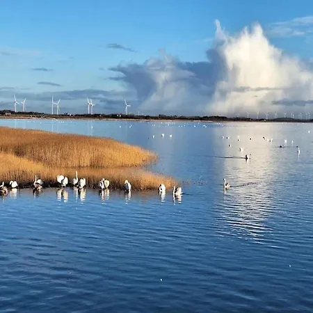 بيت للعطل 4 Person In Ringkobing-by Traum Ringkøbing